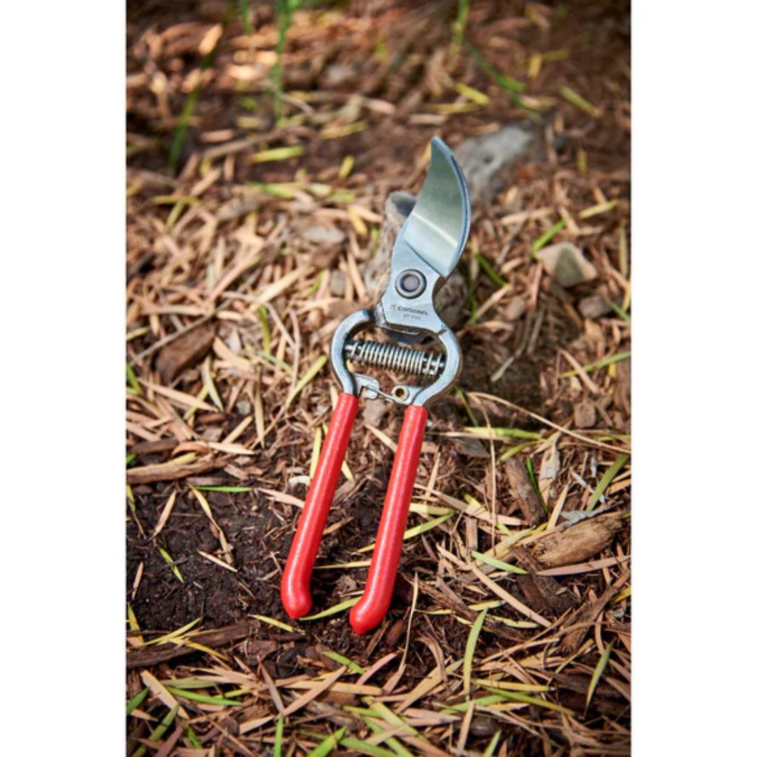 ClassicCUT® Bypass Pruner – Corona – 3/4″